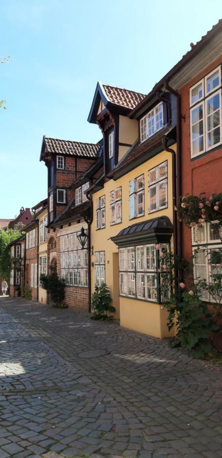 Meeresleuchten Lüneburg Kültér fotó