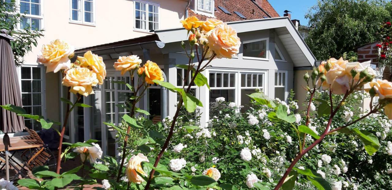 Meeresleuchten Lüneburg Kültér fotó